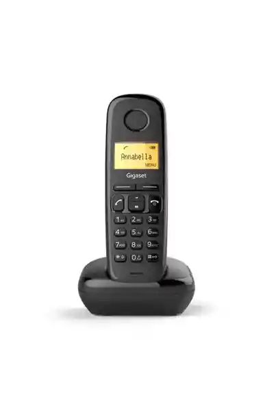 Siemens Gigaset A170 Dect Telsiz Telefon - Görsel 2