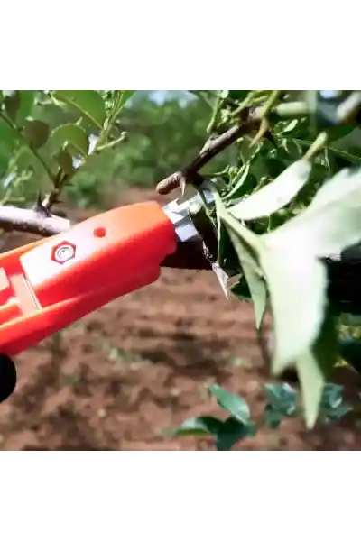 Sunup SN-24895 Çok Fonksiyonlu Bahçe Budama Makası - Görsel 3